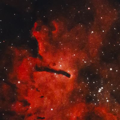 2024_07_15-16 Astro Tyniec 2024_07_15-16 NGC6823 26x300s L-Ext DSS1 Sir1 PS11.jpg